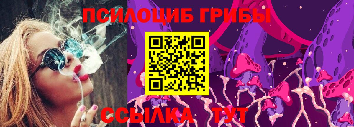 Галлюциногенные грибы Psilocybine cubensis Соликамск