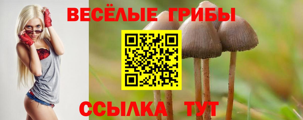 Соликамск  как найти наркотики  Вход с VPN  Галлюциногенные грибы Psilocybine cubensis 